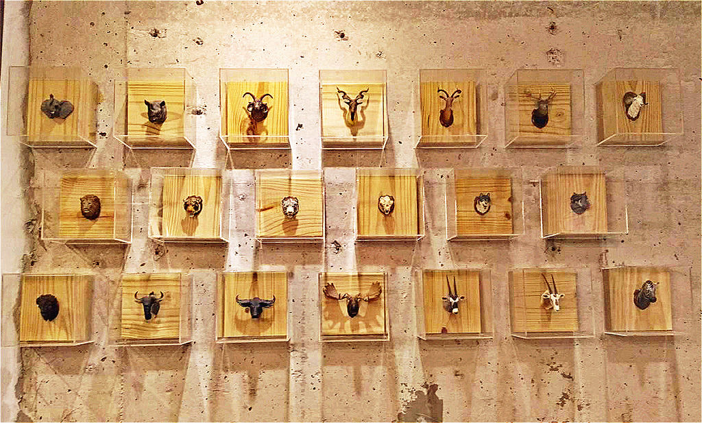 20108048_1559435044108637_1358976784_o