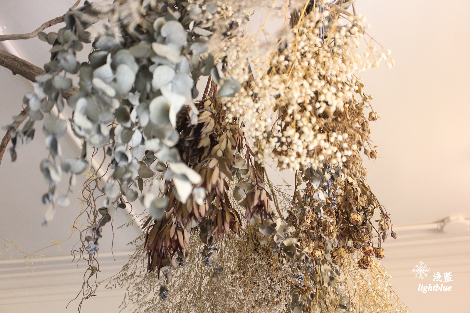 [ 科技大樓站美食 ] 淺藍 × 黑鳶（花疫室二店）～滿滿乾燥花包圍中來塊鹹派