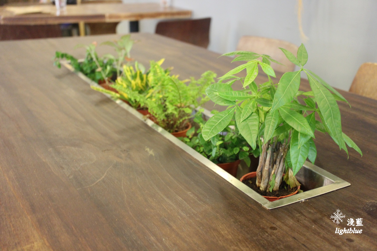 [ 科技大樓站美食 ] 淺藍 × 黑鳶（花疫室二店）～滿滿乾燥花包圍中來塊鹹派