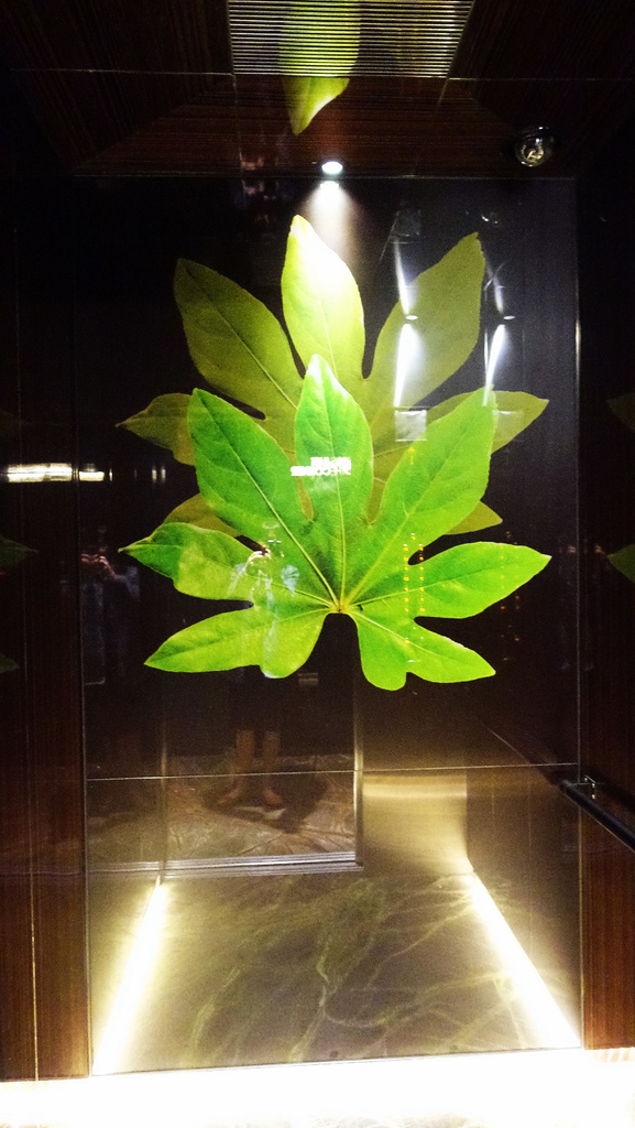 DSC02574.JPG DSC02574.JPG