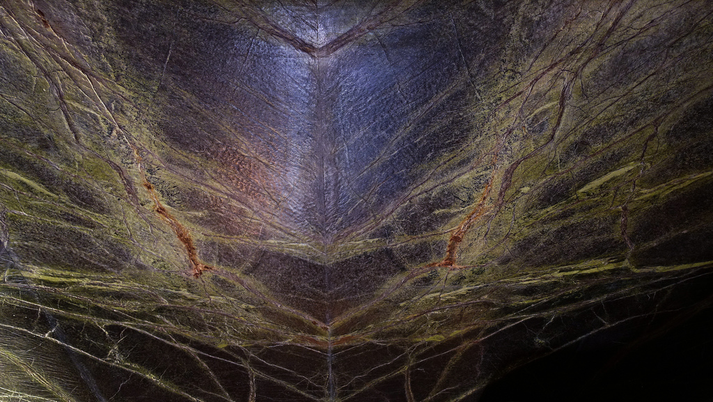 DSC02569.JPG DSC02569.JPG