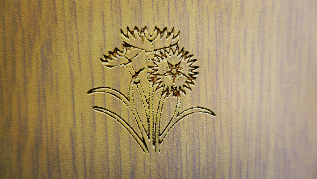 DSC02579.JPG DSC02579.JPG