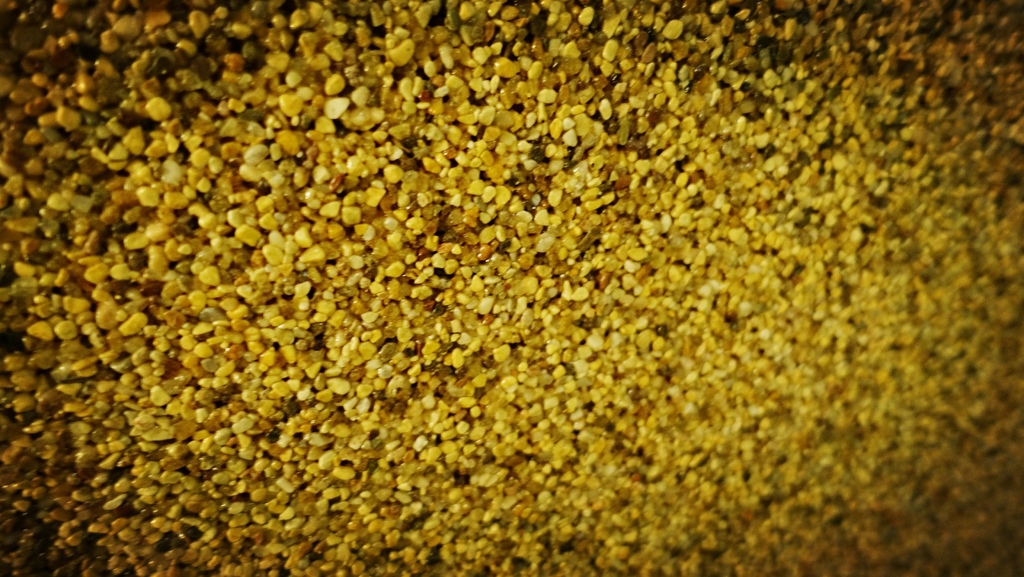 DSC02335.jpg DSC02335.jpg