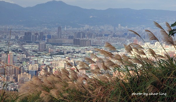 三角埔頂山-24.JPG - 2016秋之豔