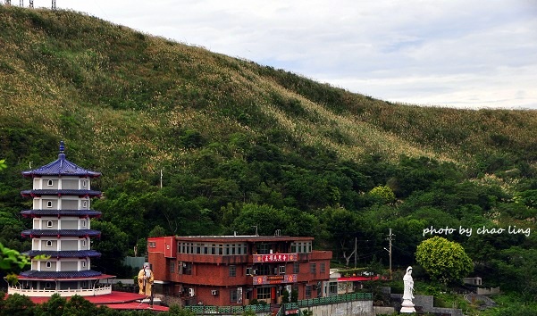 三角埔頂山-7.JPG - 2016秋之豔