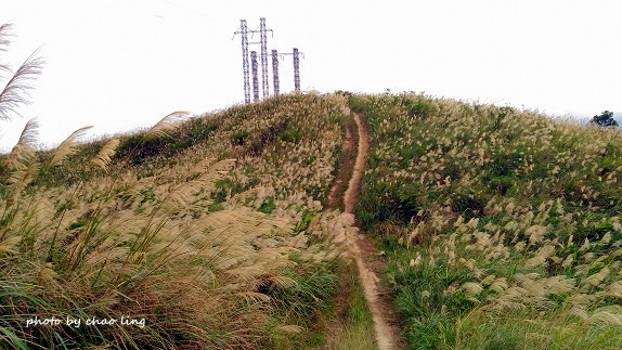 三角埔頂山-38.jpg - 2016秋之豔