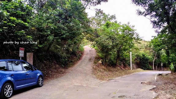 三角埔頂山-8.jpg - 2016秋之豔