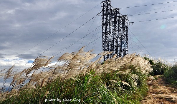 三角埔頂山-19.JPG - 2016秋之豔