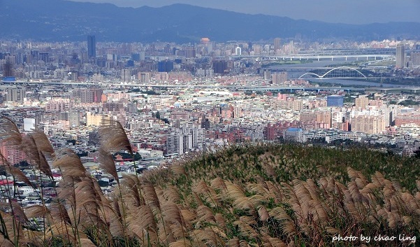 三角埔頂山-23.JPG - 2016秋之豔