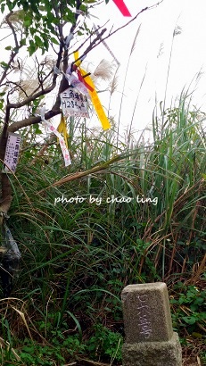 三角埔頂山-44.jpg - 2016秋之豔