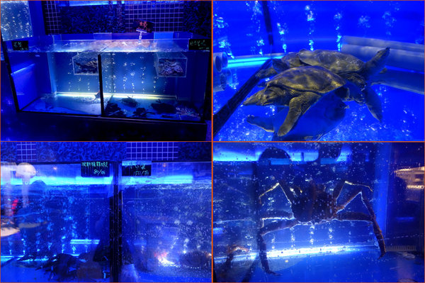 鱻饗宴台菜海鮮酒家菜 (15).jpg 鱻饗宴台菜海鮮酒家菜 (15).jpg