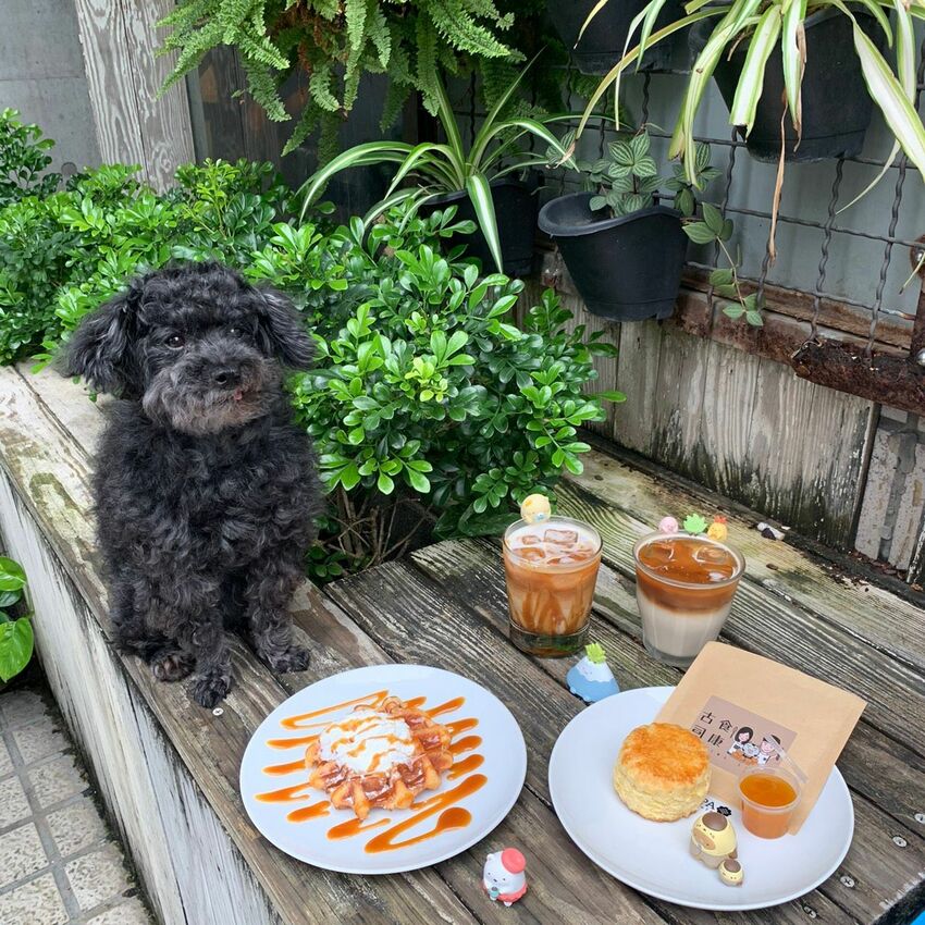 【忠孝敦化咖啡廳】RAY CAFE 阿拉比卡手烘咖啡  不限時的平價東區輕鬆下午茶 每周都有不同甜點快閃店！