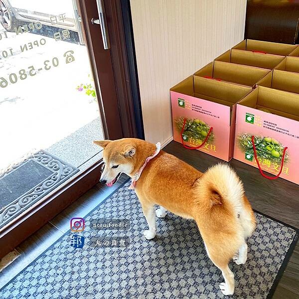 雪之湖咖啡｜峨眉湖景觀餐廳推薦 @neru.foodie / 丸の良食