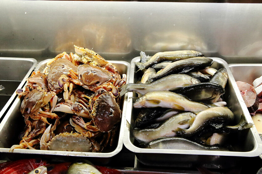 CP值爆表！當天到港海鮮漁獲燒烤吃到飽，超過30多種現流魚、