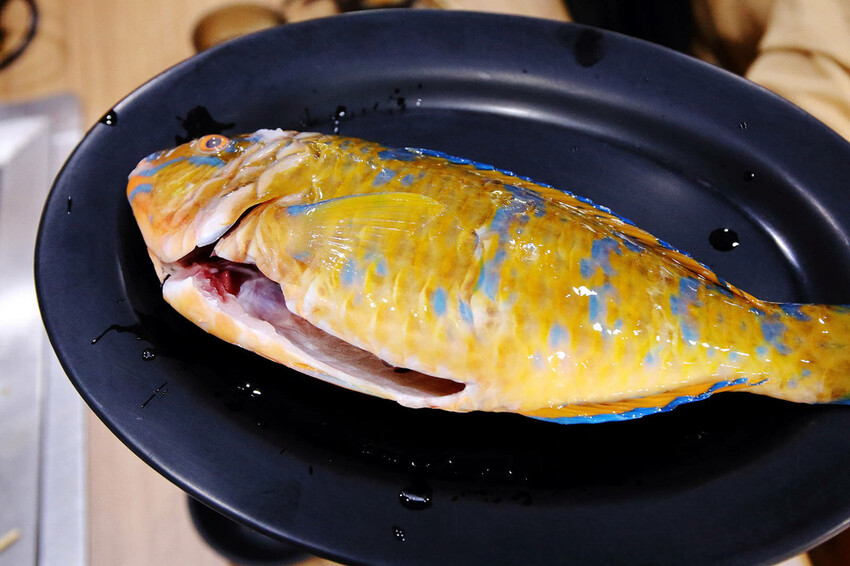 CP值爆表！當天到港海鮮漁獲燒烤吃到飽，超過30多種現流魚、