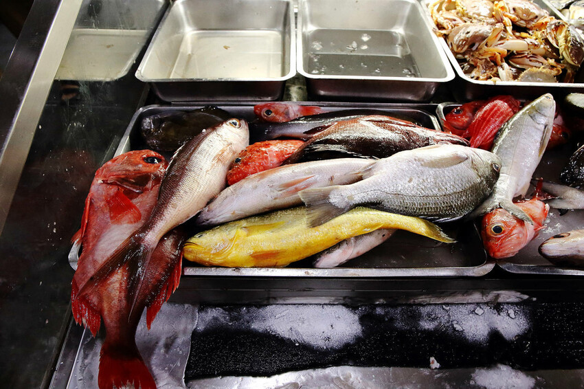 CP值爆表！當天到港海鮮漁獲燒烤吃到飽，超過30多種現流魚、