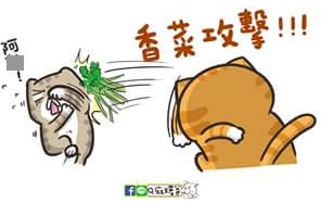 [吃喝]飄揚過海的布列塔尼家鄉菜～No. 21家庭廚坊 Petit Breton。