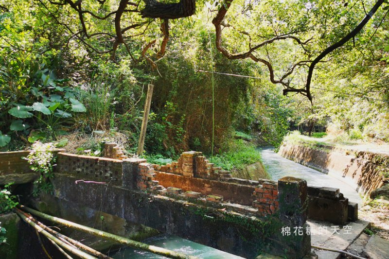 台中后里祕境大公開|八號隧道圳磚橋美得像是宮崎駿卡通場景 台中后里祕境大公開|八號隧道圳磚橋美得像是宮崎駿卡通場景