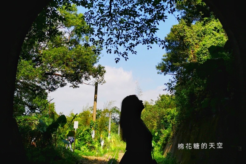 台中后里祕境大公開|八號隧道圳磚橋美得像是宮崎駿卡通場景 台中后里祕境大公開|八號隧道圳磚橋美得像是宮崎駿卡通場景
