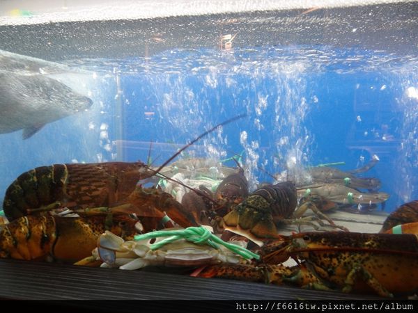 DSC05207.JPG DSC05207.JPG