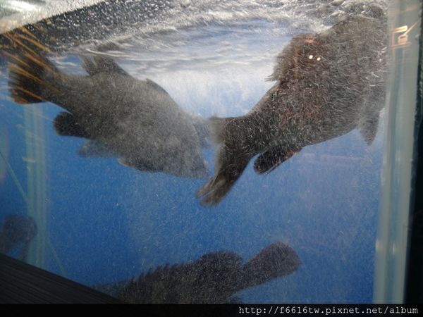 DSC05208.JPG DSC05208.JPG