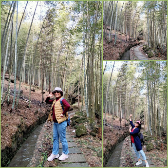 南投景點小半天˙長源圳古道˙孟宗竹林古戰場-中壢社大週四趴趴走一日遊