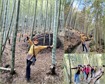 南投景點小半天˙長源圳古道˙孟宗竹林古戰場-中壢社大週四趴趴走一日遊