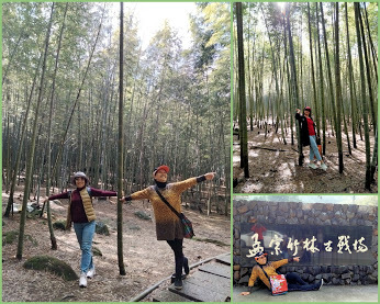 南投景點小半天˙長源圳古道˙孟宗竹林古戰場-中壢社大週四趴趴走一日遊