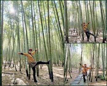 南投景點小半天˙長源圳古道˙孟宗竹林古戰場-中壢社大週四趴趴走一日遊