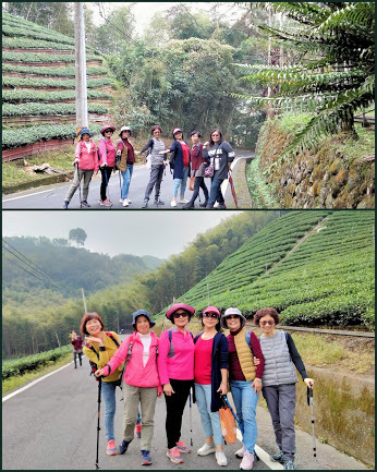 南投景點小半天˙長源圳古道˙孟宗竹林古戰場-中壢社大週四趴趴走一日遊