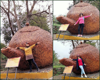 南投景點小半天˙長源圳古道˙孟宗竹林古戰場-中壢社大週四趴趴走一日遊