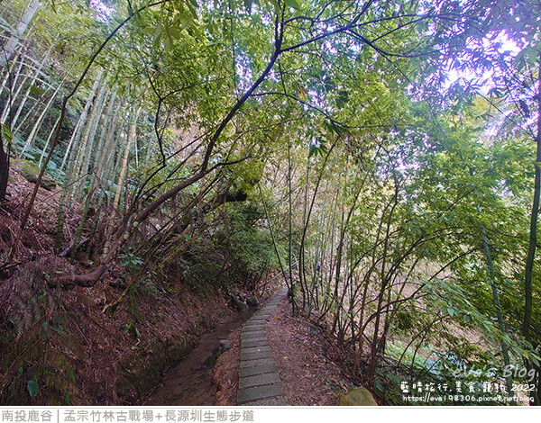孟宗竹林古戰場和長源圳生態步道-24.jpg