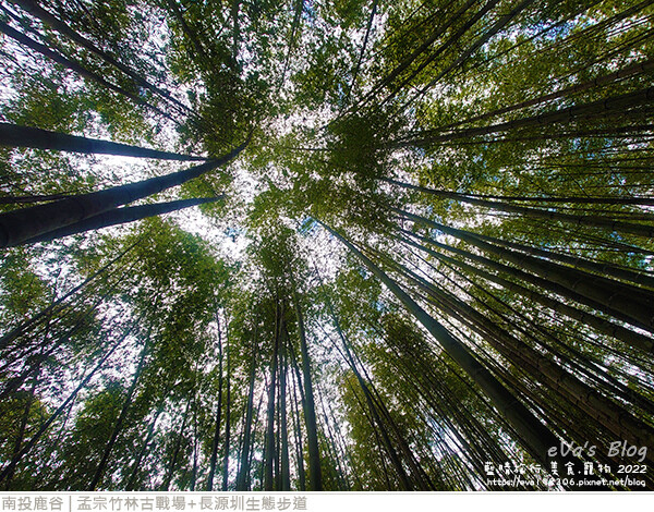 孟宗竹林古戰場和長源圳生態步道-17.jpg