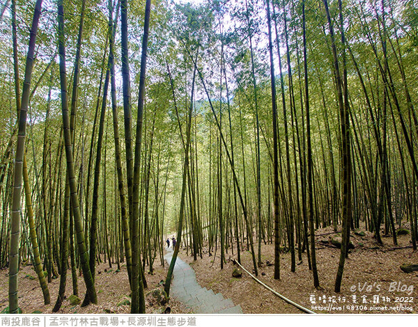 孟宗竹林古戰場和長源圳生態步道-18.jpg