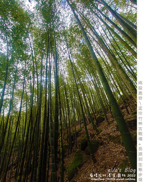 孟宗竹林古戰場和長源圳生態步道-16.jpg