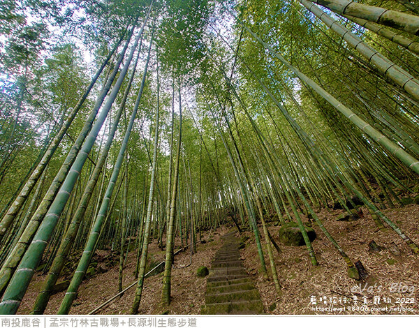 孟宗竹林古戰場和長源圳生態步道-19.jpg