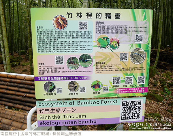 孟宗竹林古戰場和長源圳生態步道-08.jpg