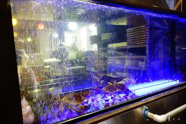 肉魂和牛鑄鐵料理 (5).JPG