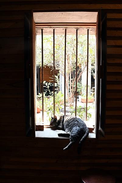 高雄市前鎮區高雄最美海鮮粥【粥老大花園景觀餐廳】百年老厝之中的家常味，城市中最美的角落～好吃又實在！※高雄美食推