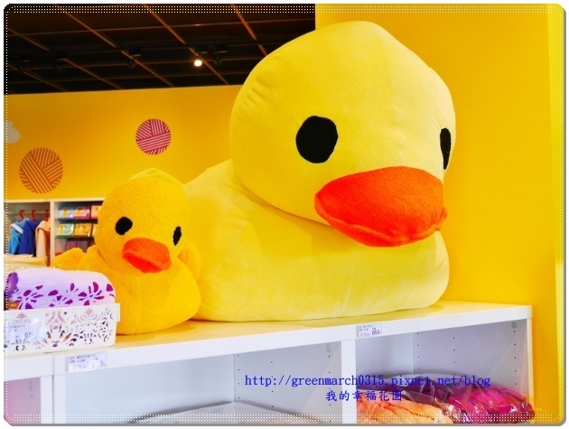 P8980512 (620x465).jpg