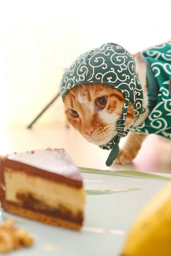 品好乳酪蛋糕，雙拼組合，ILLY核桃雙層，貝禮詩香蕉生巧