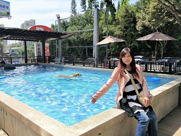 Boss Dog 逗狗樂園：【台中市景點】Boss Dog博斯逗狗樂園~巨大汪星人、寵物水管屋、貨櫃屋餐廳、戲水池、狗狗專屬菜單