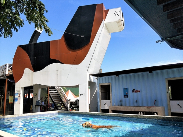 Boss Dog 逗狗樂園：【台中市景點】Boss Dog博斯逗狗樂園~巨大汪星人、寵物水管屋、貨櫃屋餐廳、戲水池、狗狗專屬菜單