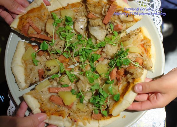 IMG_3445.JPG IMG_3445.JPG