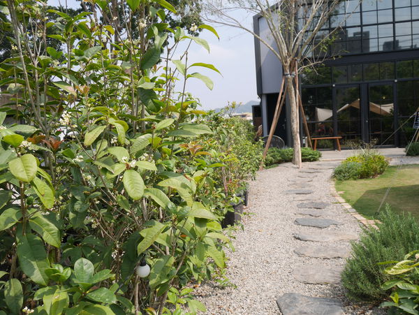 P1060508.JPG P1060508.JPG