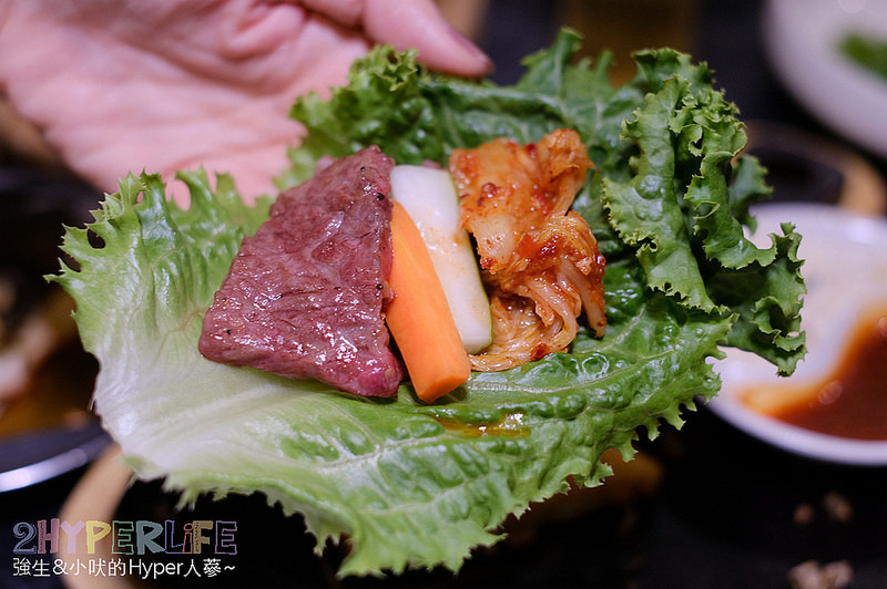  @強生與小吠的Hyper人蔘~