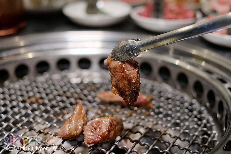  @強生與小吠的Hyper人蔘~