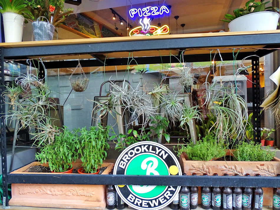 披薩斜塔-新店美食 (37).jpg 披薩斜塔-新店美食 (37).jpg