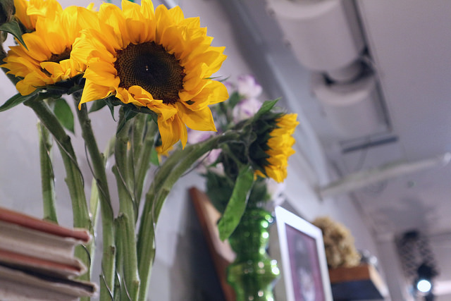 2017_03_05_3104 2017_03_05_3104