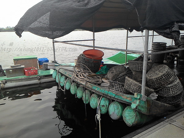 蚵殼島：蚵民不經意的傑作    ..大鵬灣蚵殼島